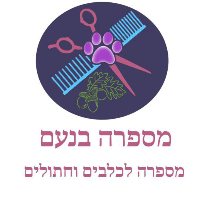 noam rabkin logo