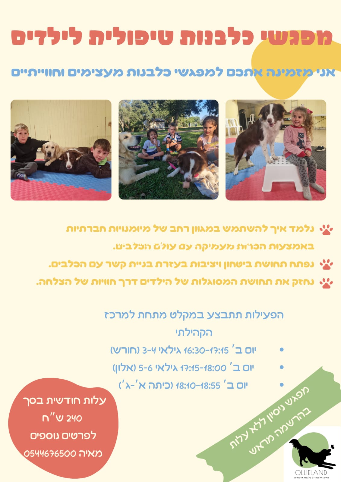 WhatsApp Image 2025-09-14 at 13.17